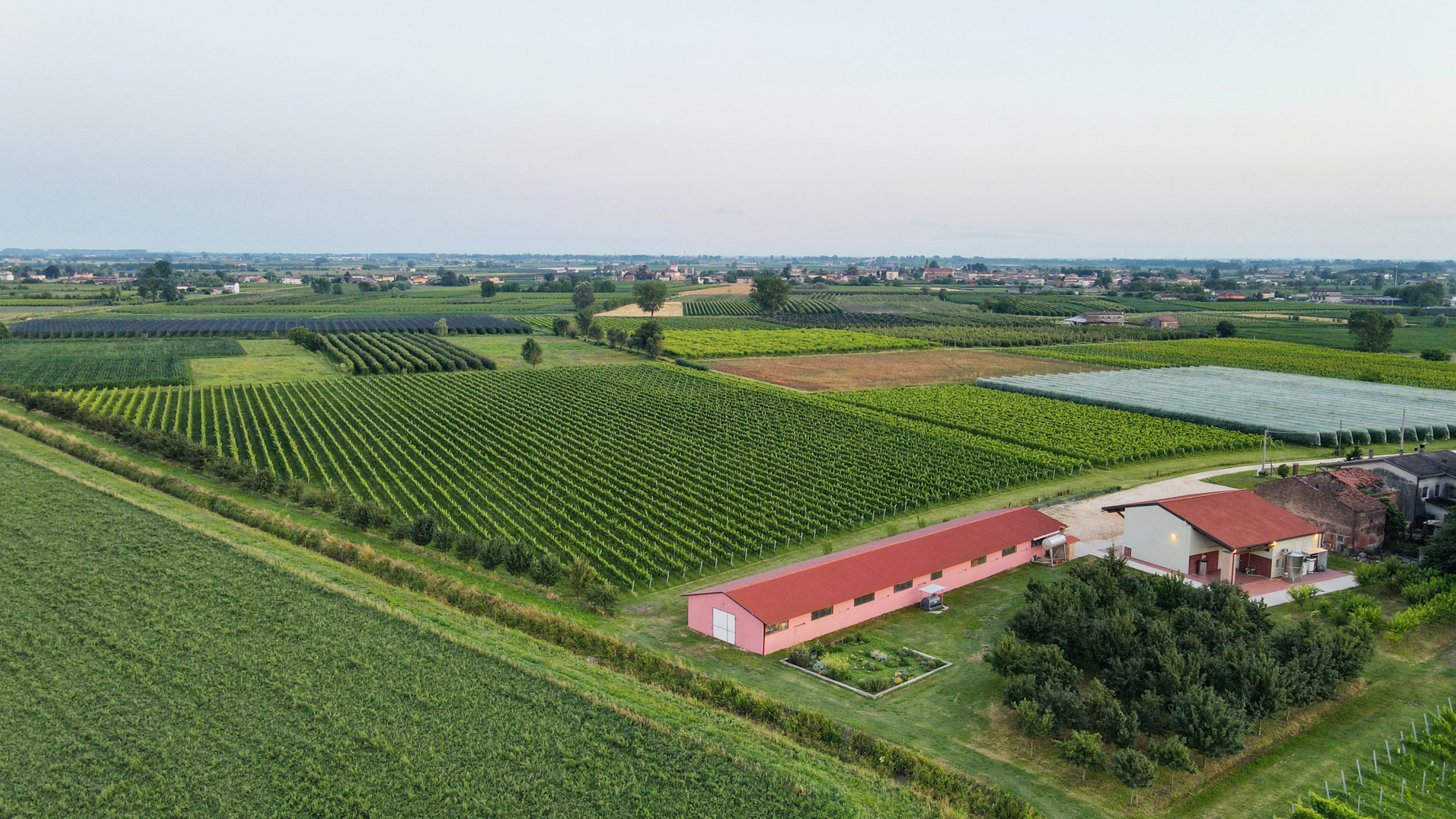 Le Carezze Organic Winery