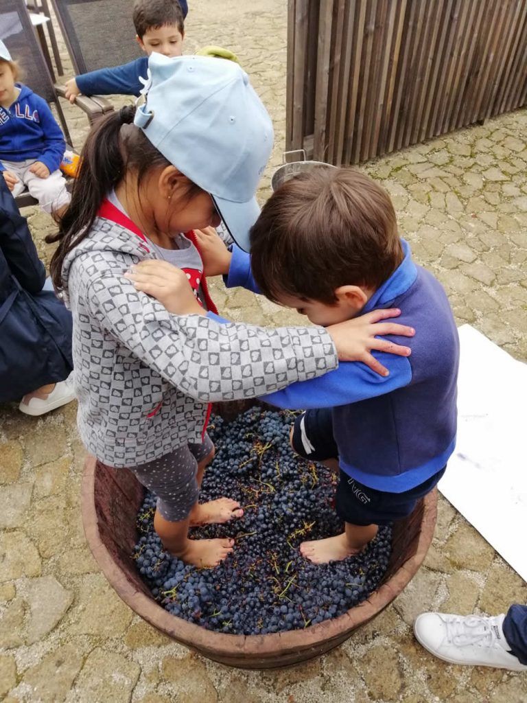 Activities for the whole family in the Douro and Vinho Verde wine regions