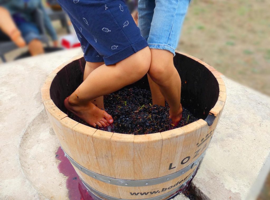 Bilbao-Rioja Bodegas Lozano family grapesstomping activities kids