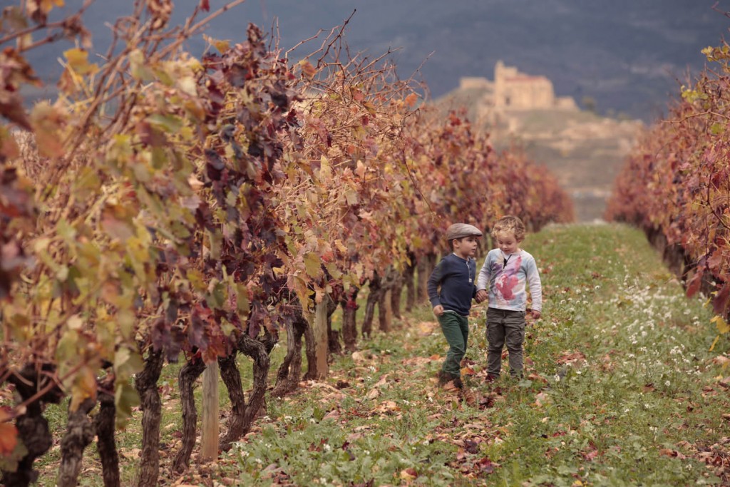 Bilbao-Rioja Vivanco vineyard workshop activities kids