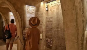 Captivated by Chardonnay experience: people studying a wine cellar