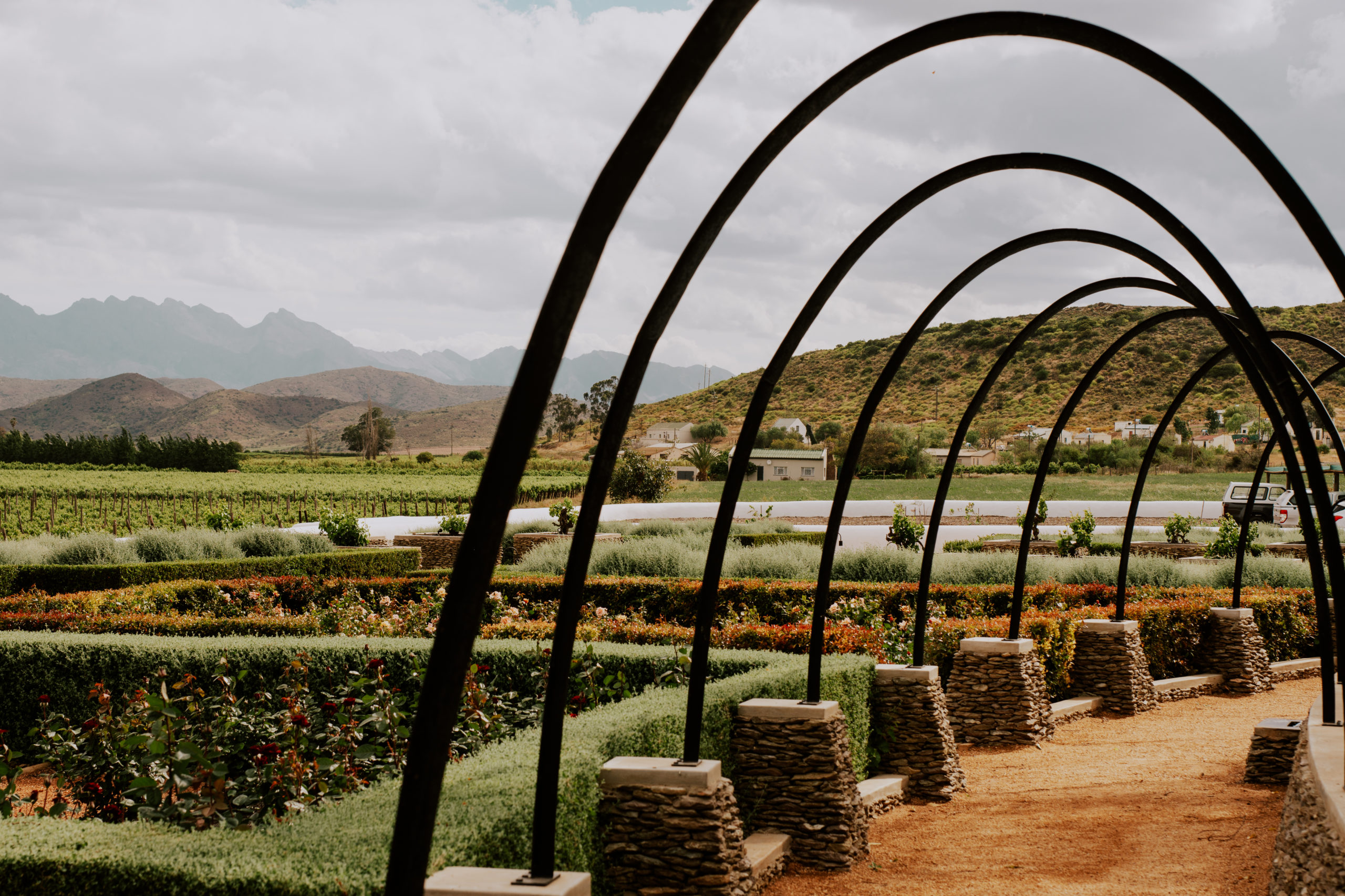 Unveiling Weltevrede Wine Estate: Your Passport to Extraordinary Wine Adventures