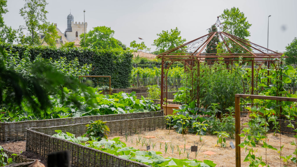 Kitchen garden Kitchen garden