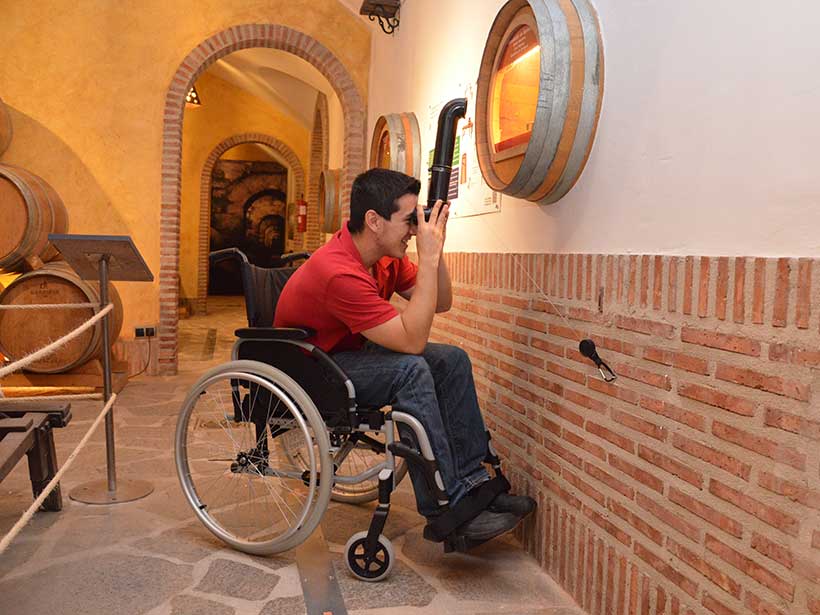 A Focus on Inclusive, Adaptative Wine Tourism in Rioja