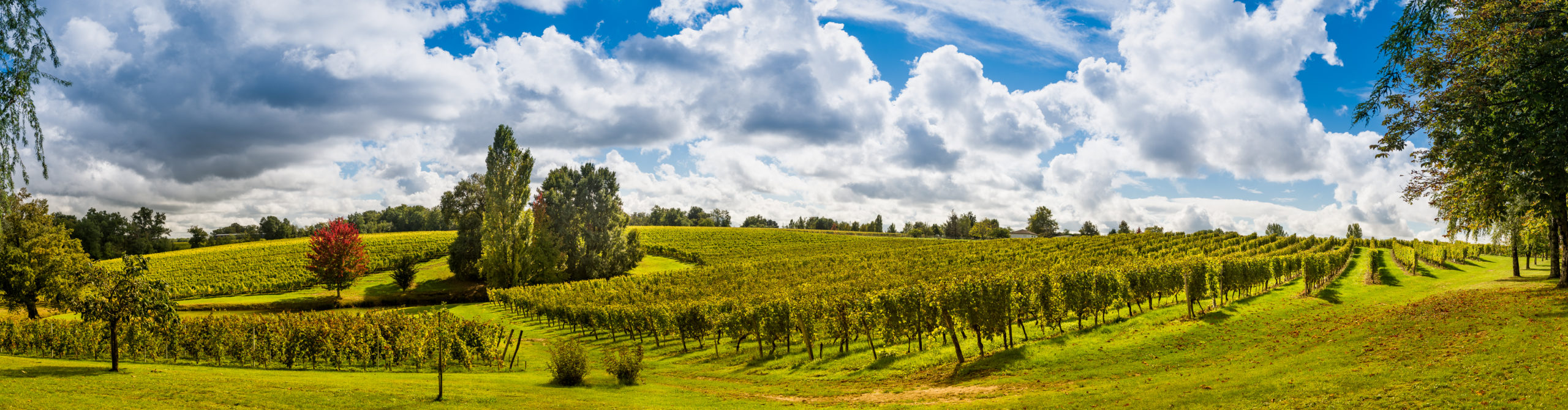 A bigger picture – Making Bordeaux inclusive