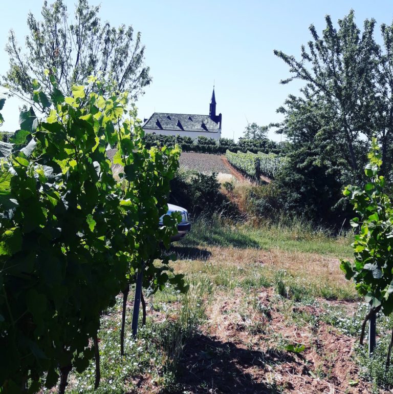 Weingut Klosterhof Lösch, Credit: Weingut Klosterhof Lösch