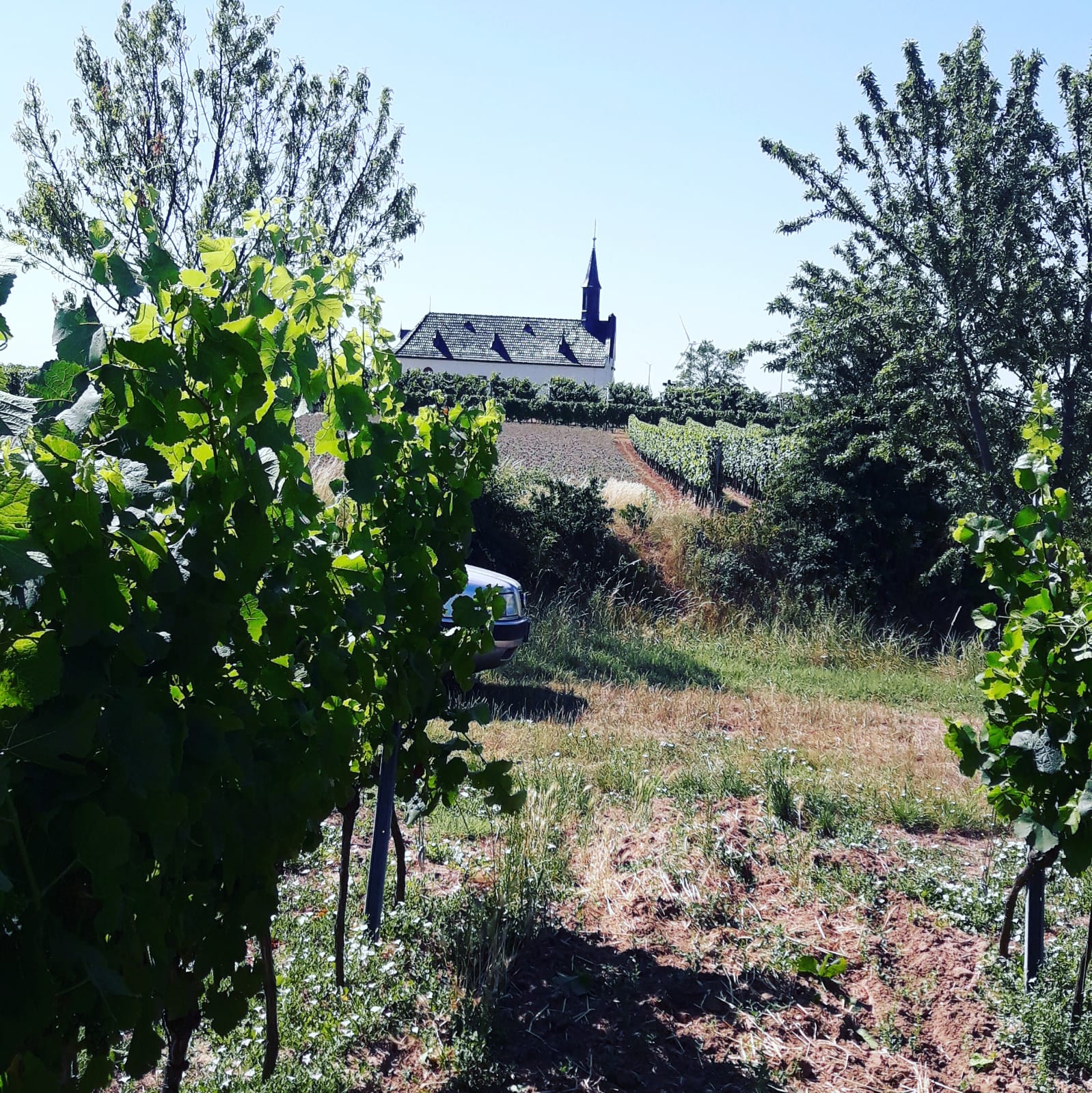 Weingut Klosterhof