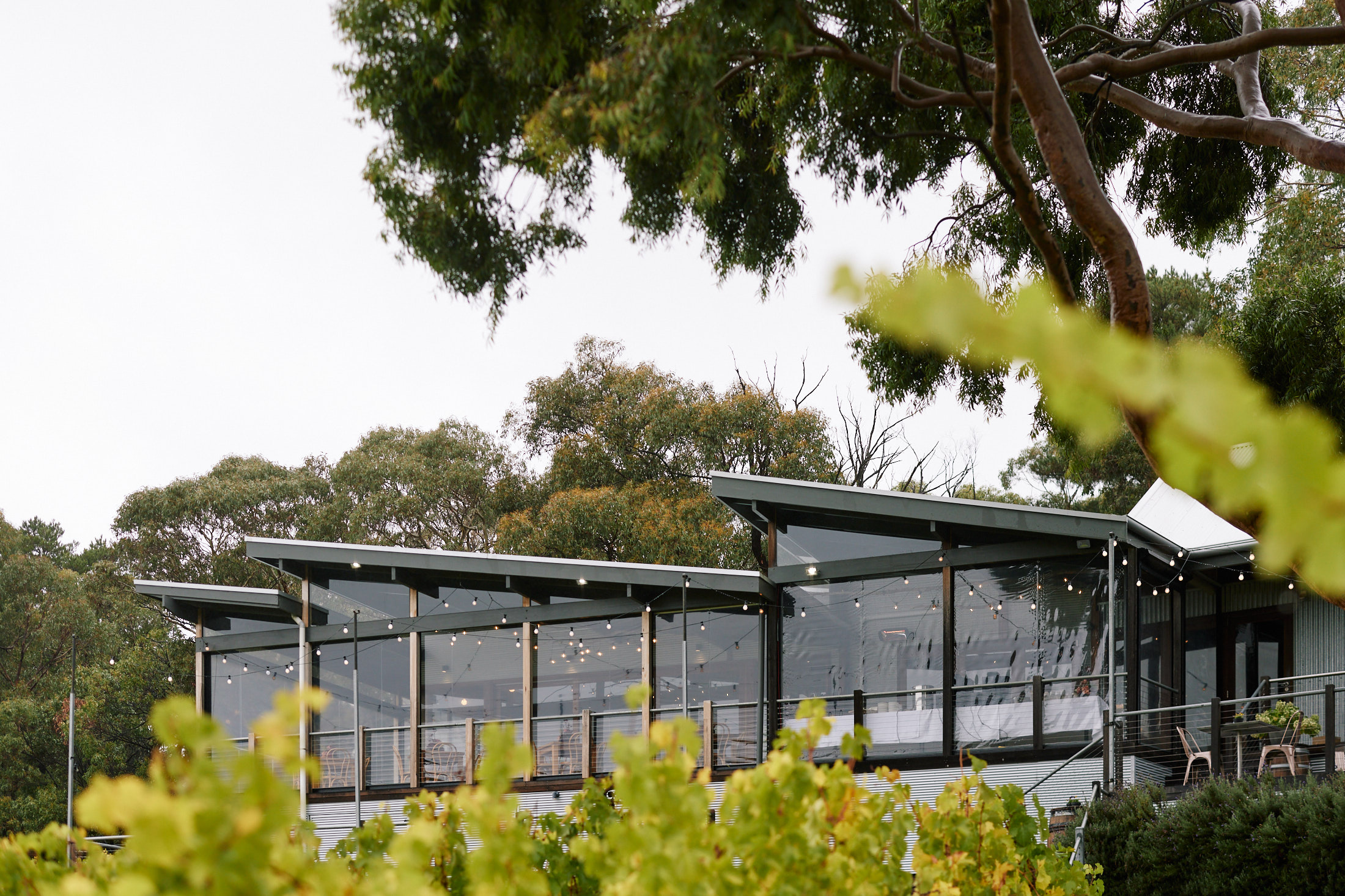 A building behind a vineyard.