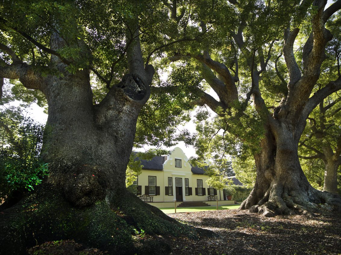 Vergelegen Wine Estate