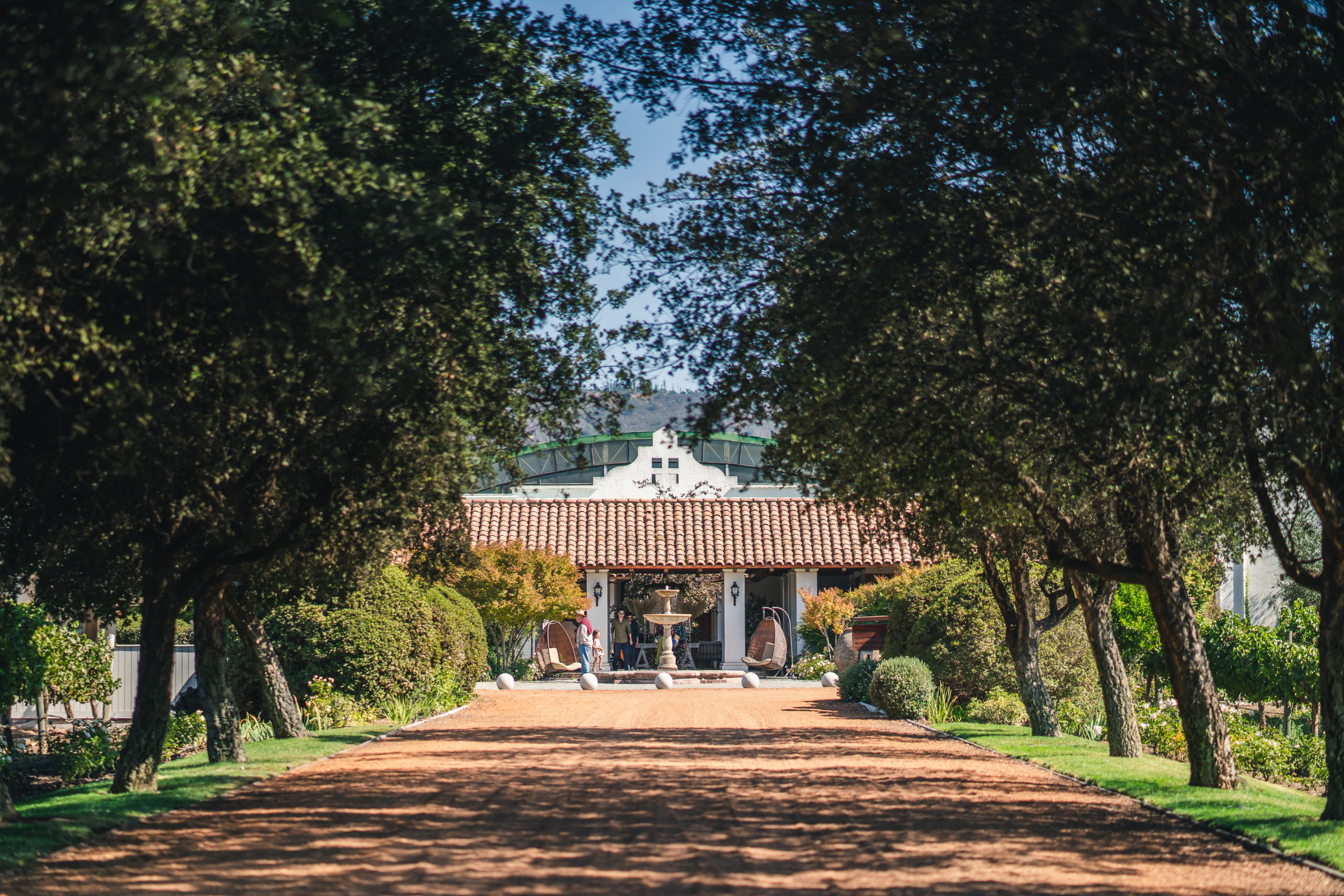 Viña Casas del Bosque