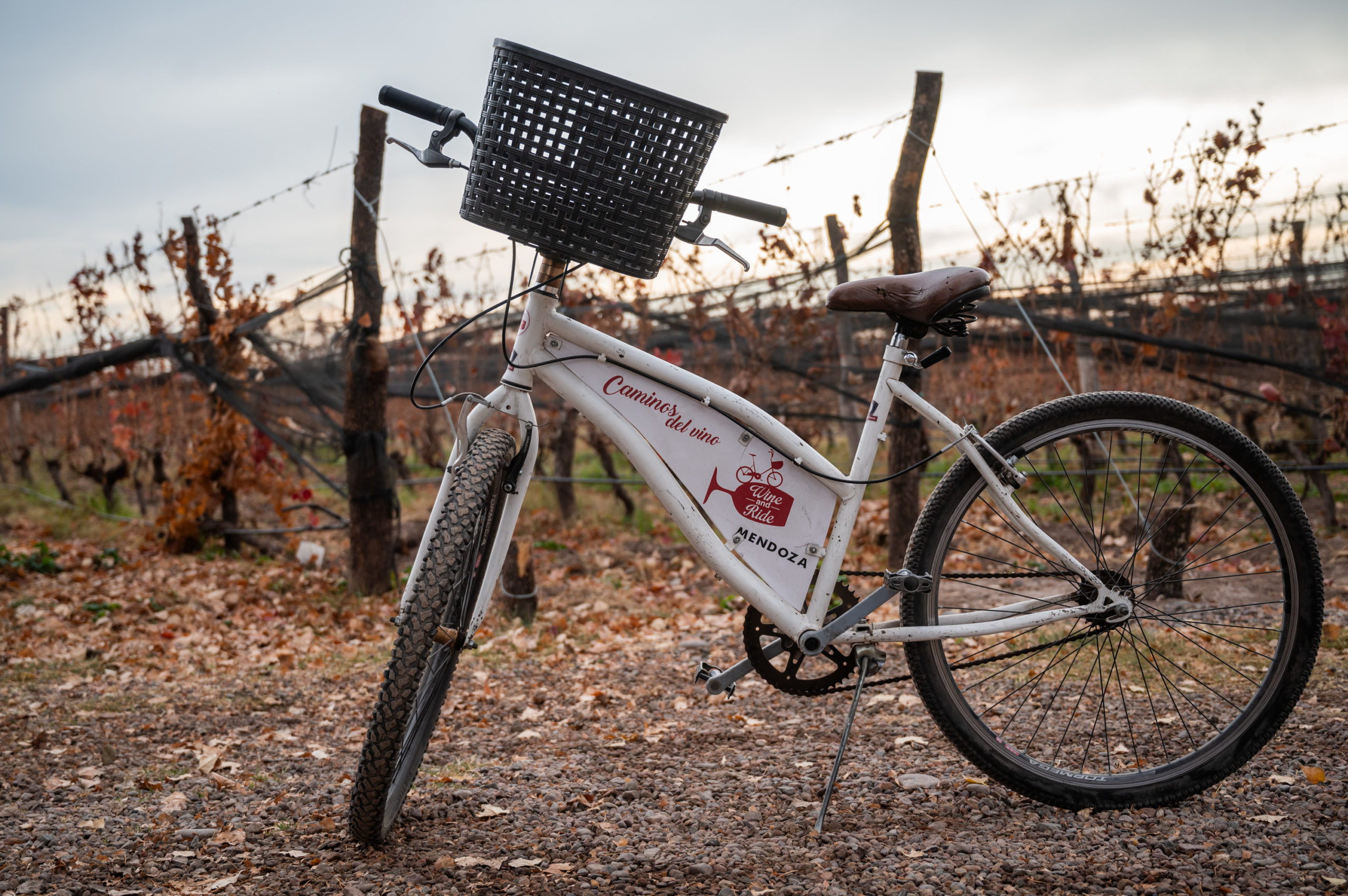 Wine and Ride