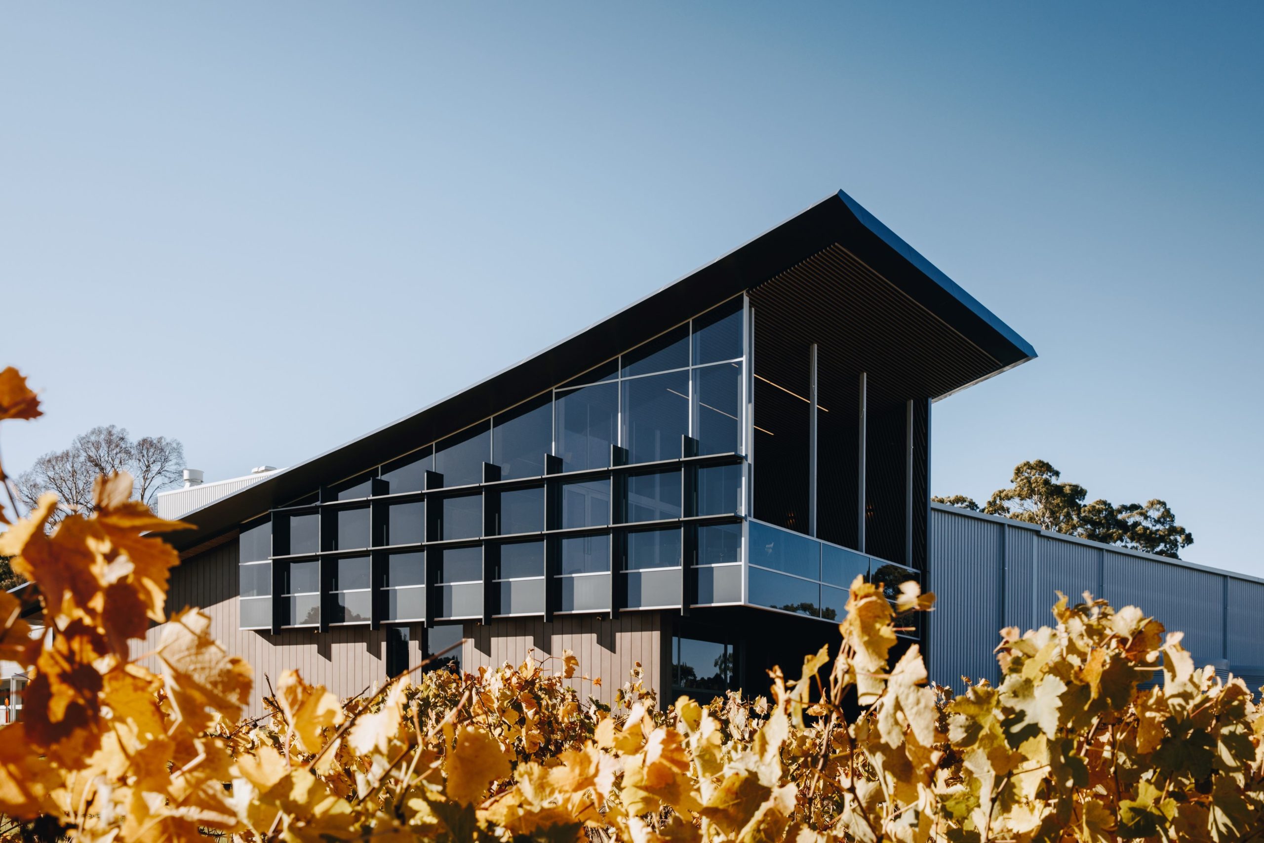 Yangarra Estate Vineyard – McLaren Vale