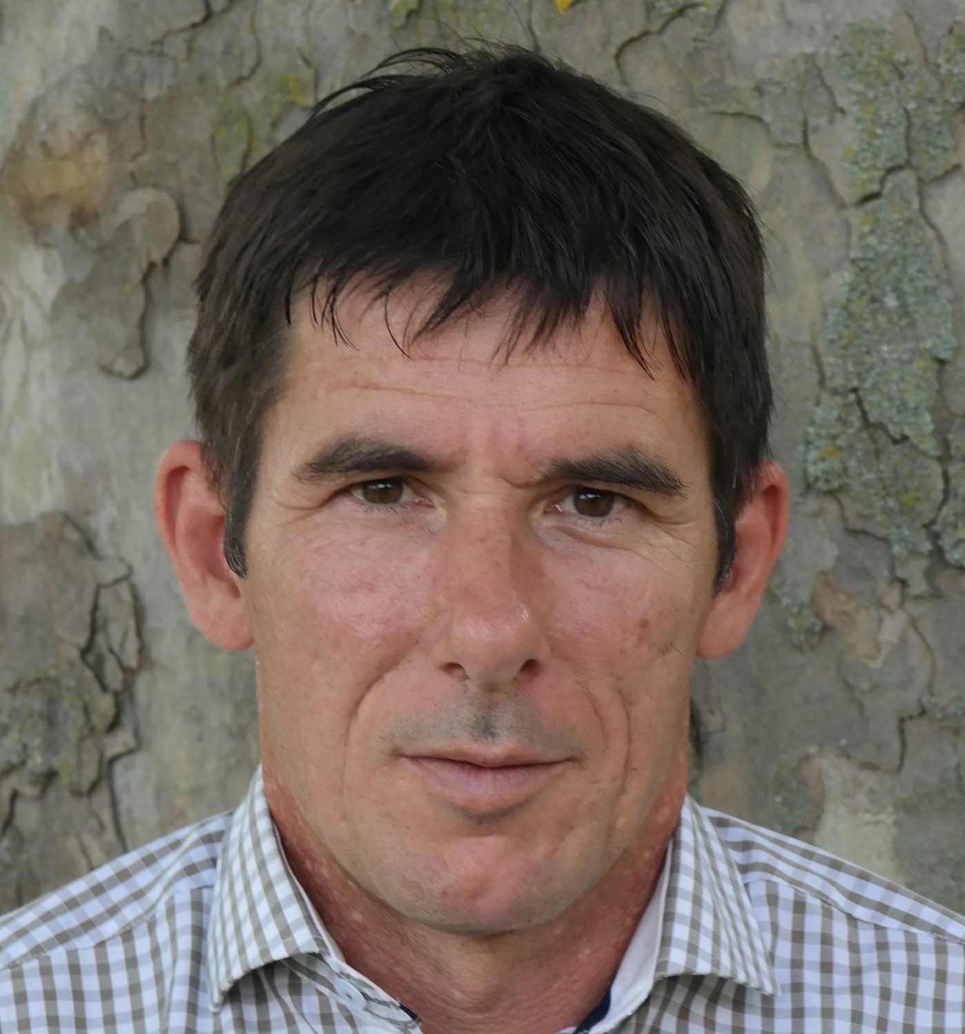 David Lenoir