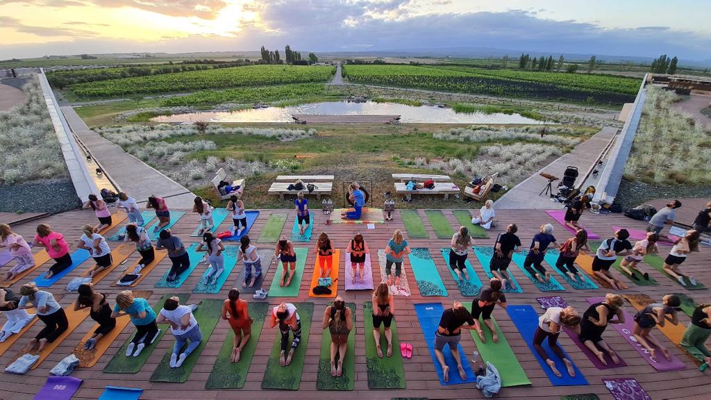 Yoga along the Wine Paths, a unique experience to elevate your spirit