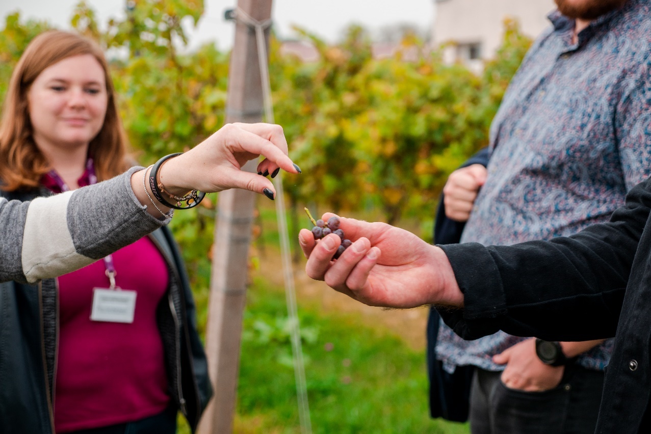 Pagus Wine Tours® – Unveiling the charms of Italy’s Wine Culture