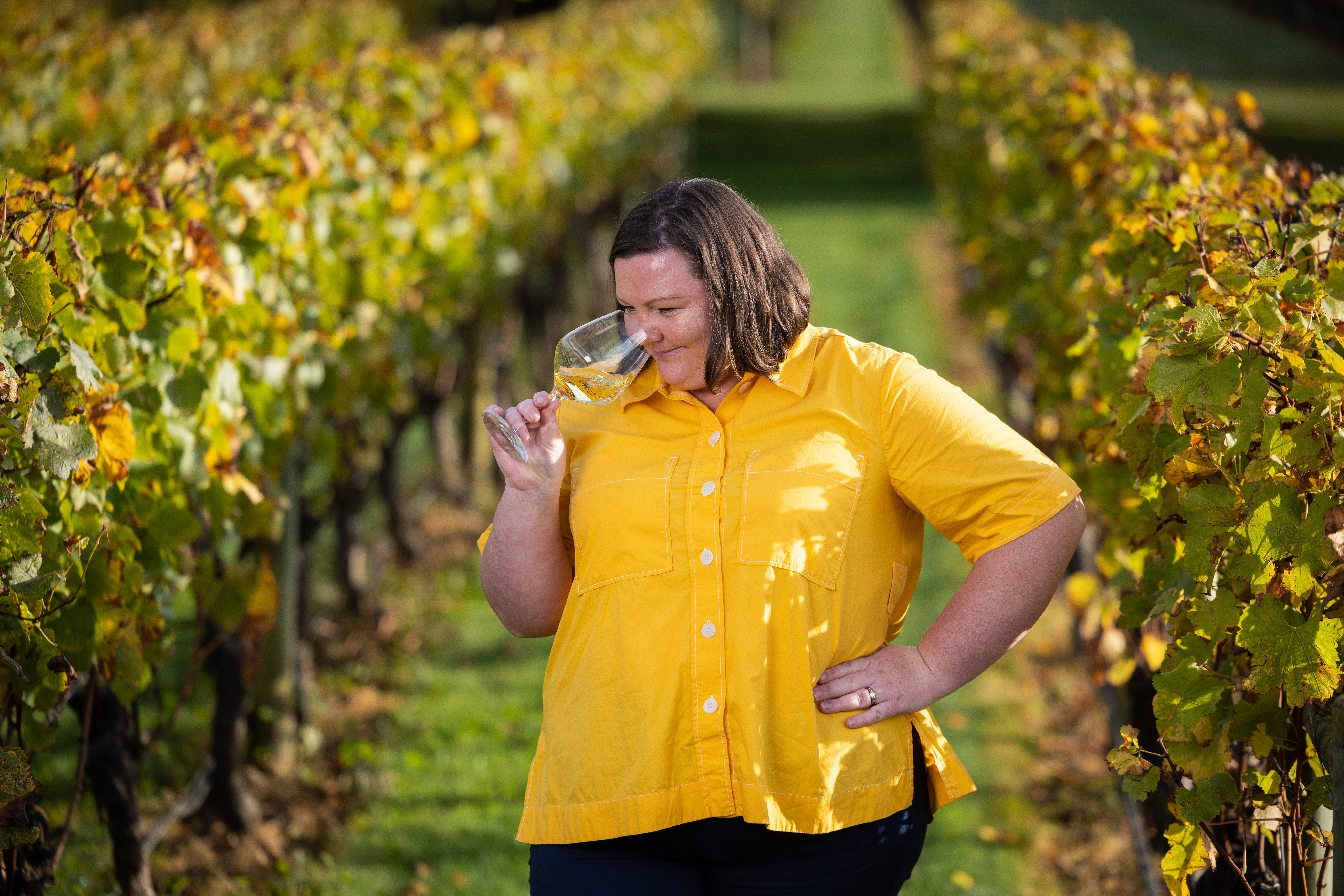 Hawke’s Bay – home to innovative winemakers for more than a hundred years