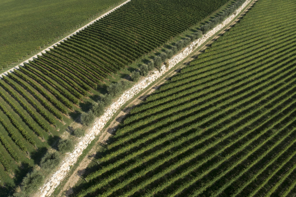 Valpolicella_Tenuta-Costalunga Zenato