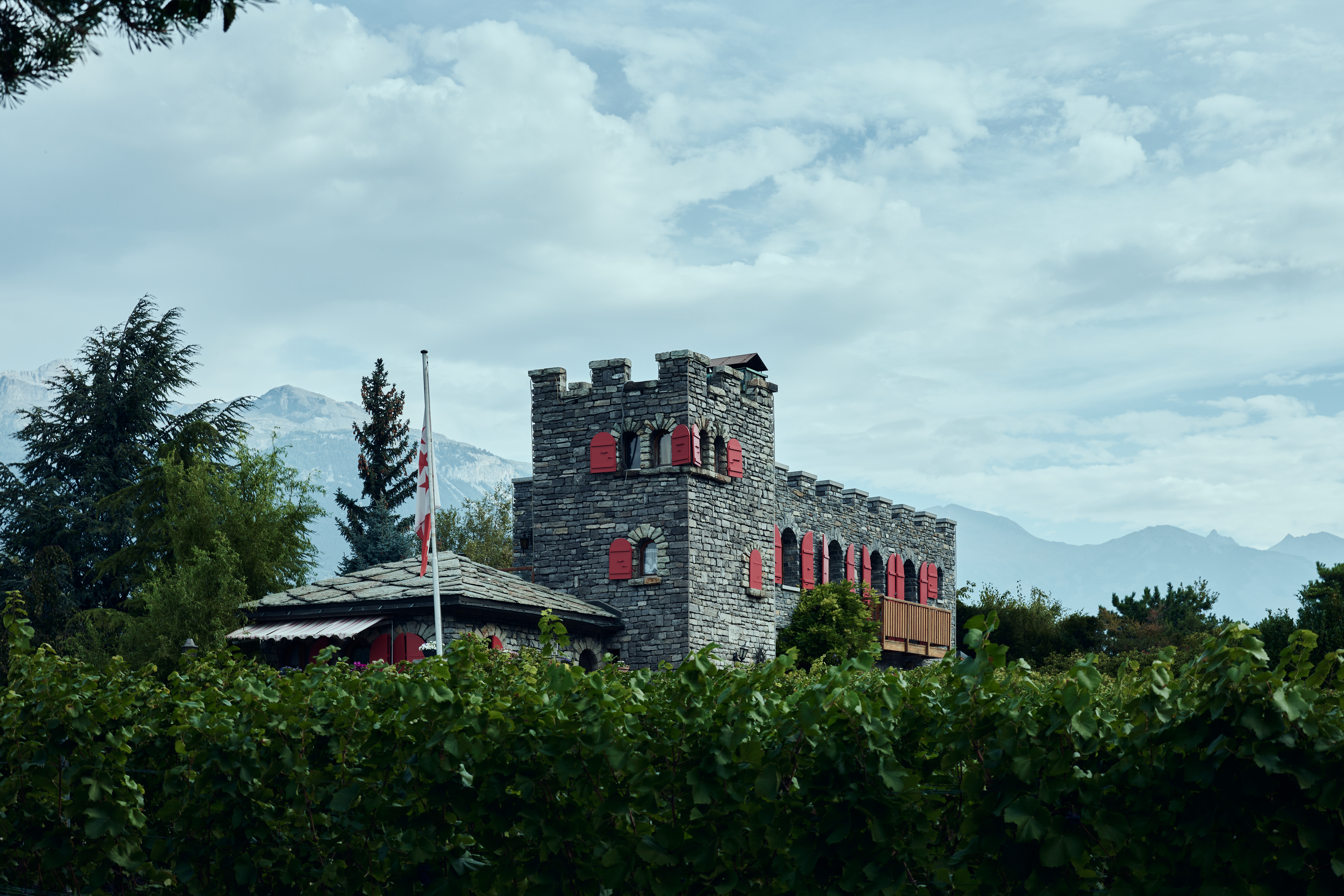La Colline de Daval, the complete diversification of a family wine estate