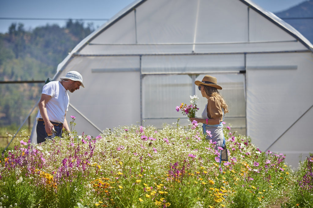 Viña Casas del Bosque is more than a winery