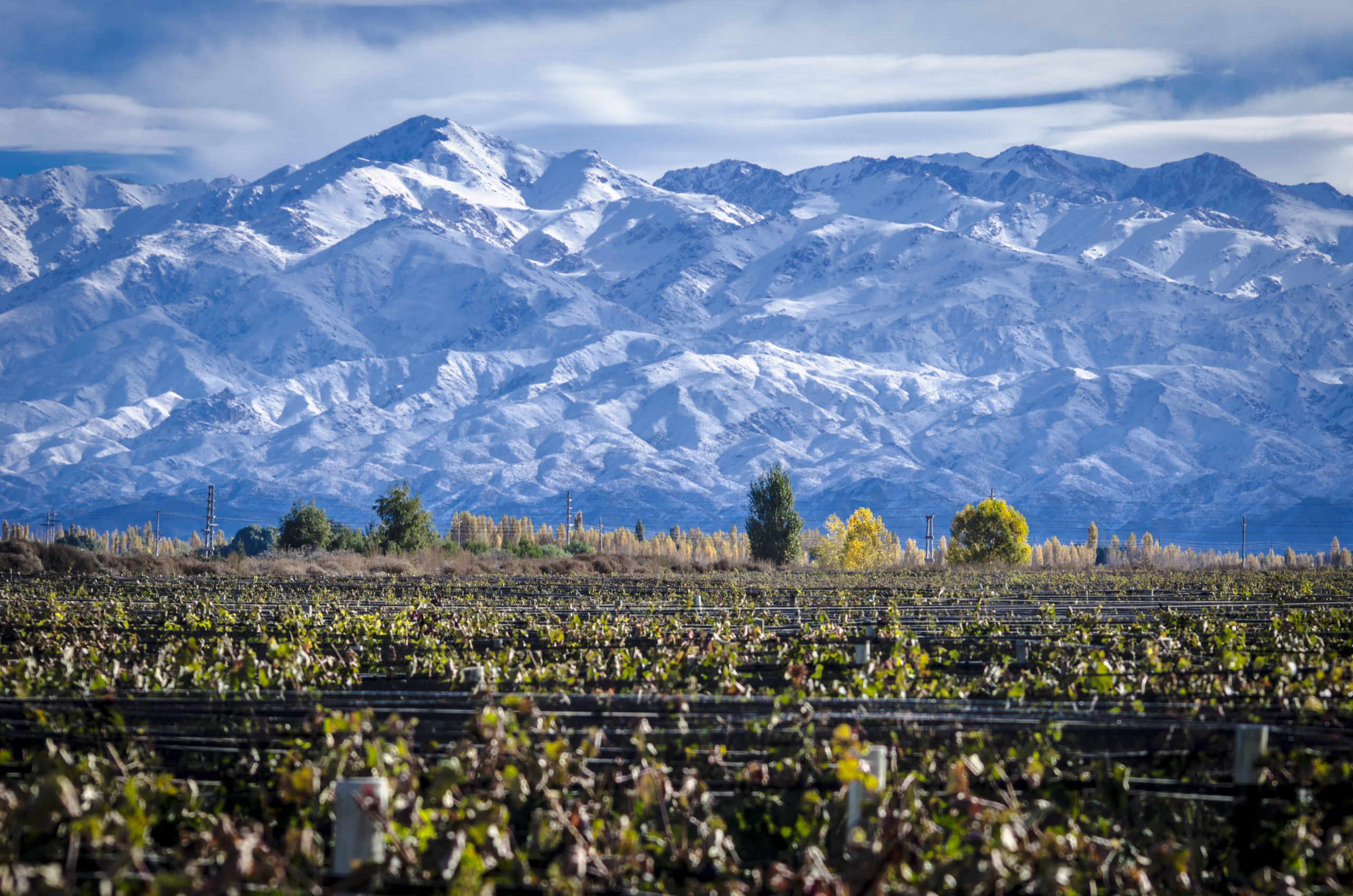 Mendoza deals with climate change exploring higher altitudes