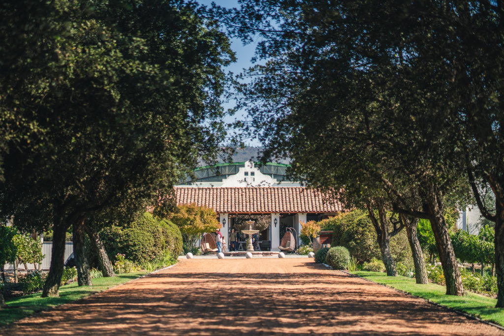 Viña Casas del Bosque is more than a winery