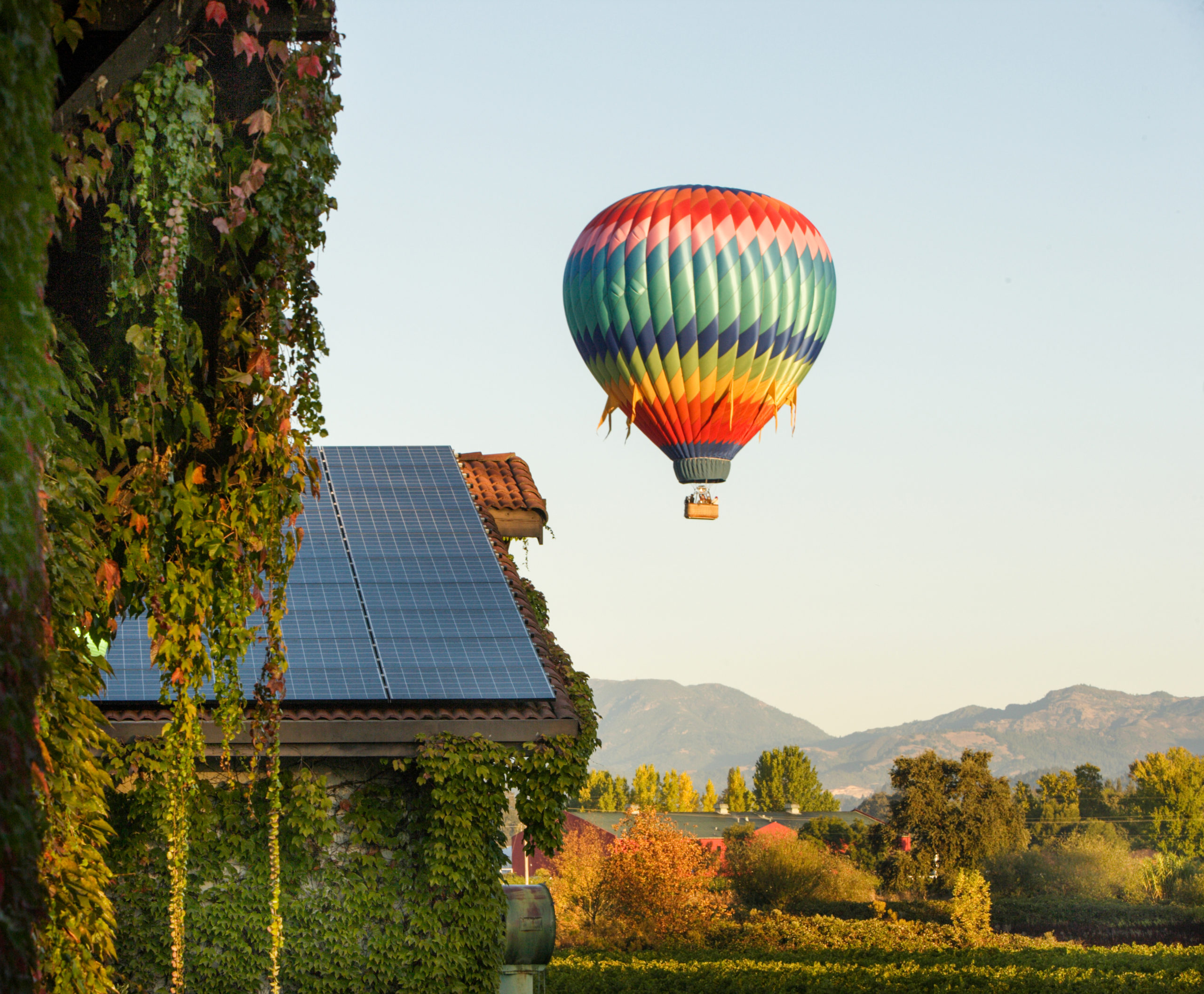 Sustainable Wine Tourism at Grgich Hills