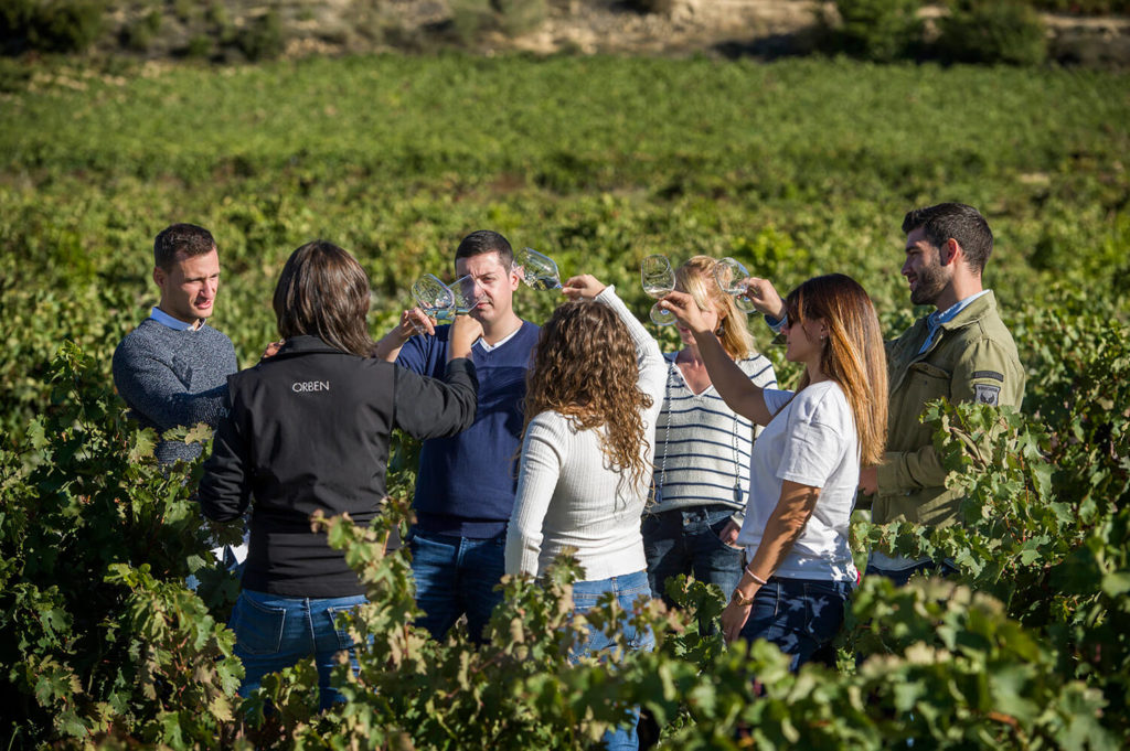 Bodegas Izadi wine tourism in Rioja Alavesa, Spain