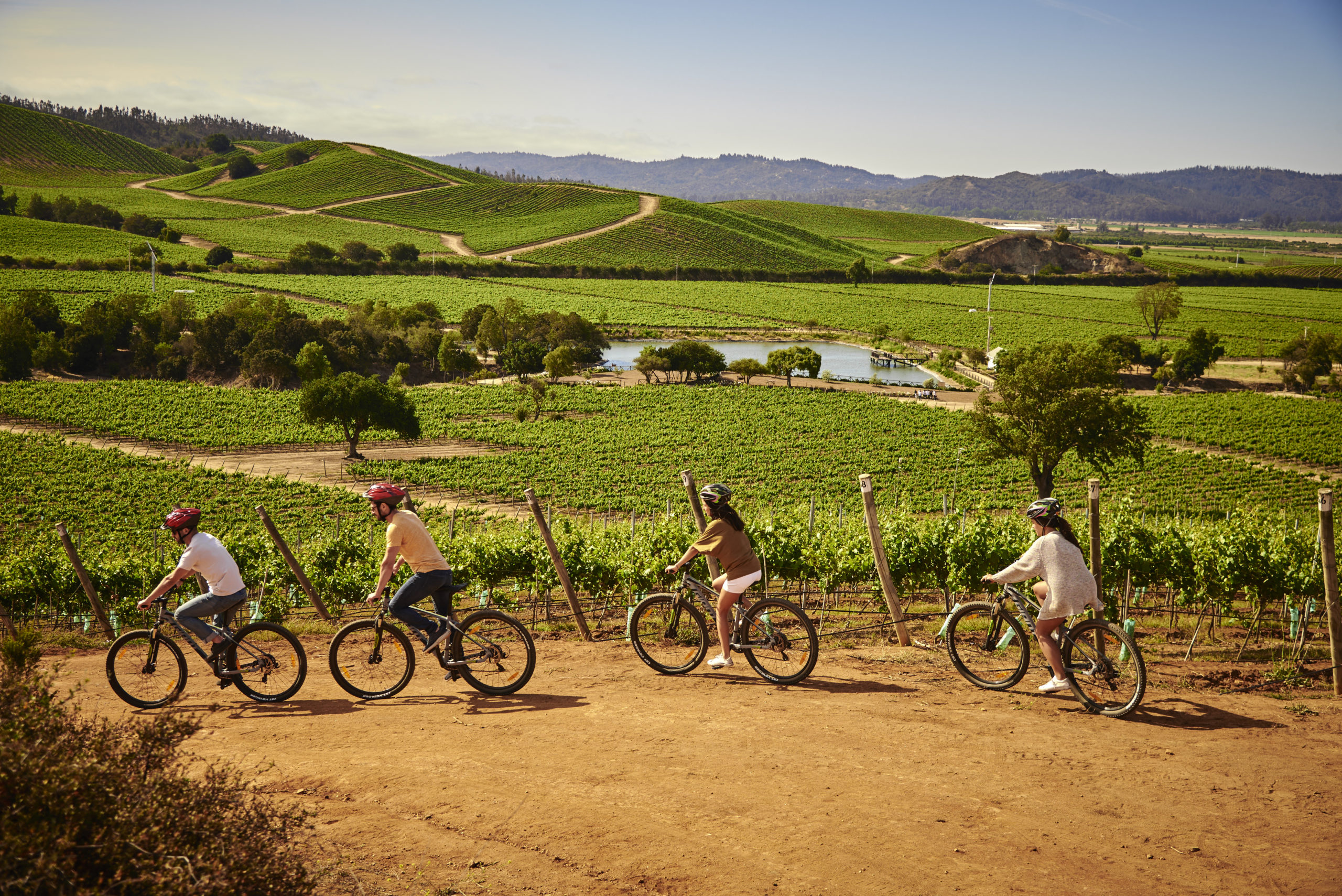 Exploring the Great Outdoors: Exciting Adventures Await at Casablanca Valley Vineyards
