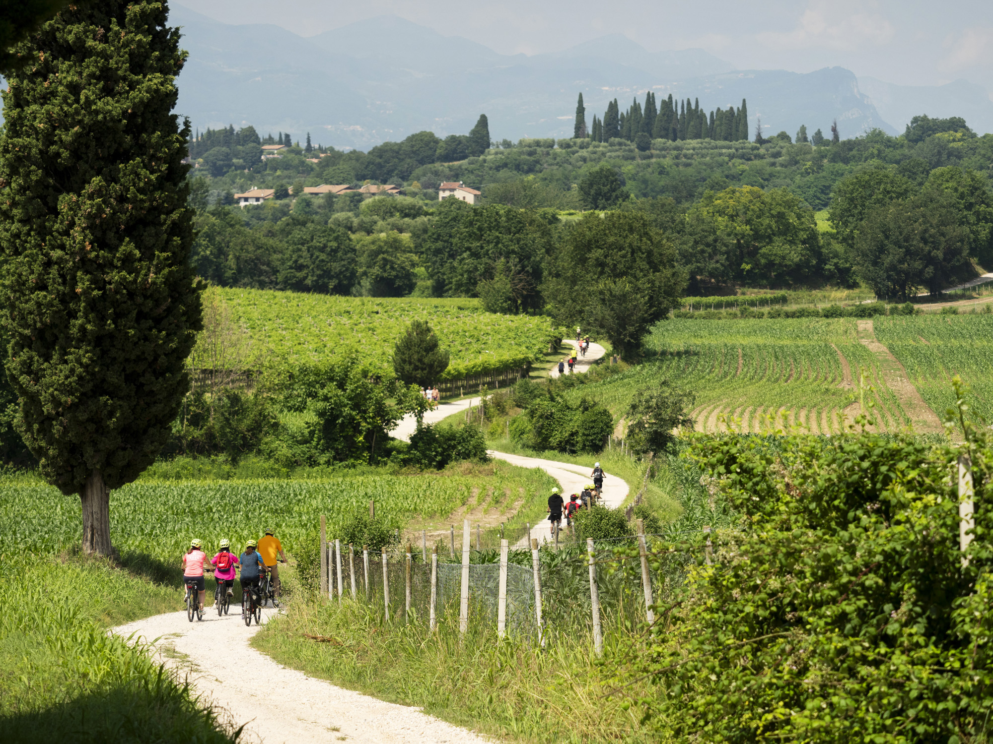 Verona and its vineyards by bike or on horseback: taste wines and live exciting adventures through a different route