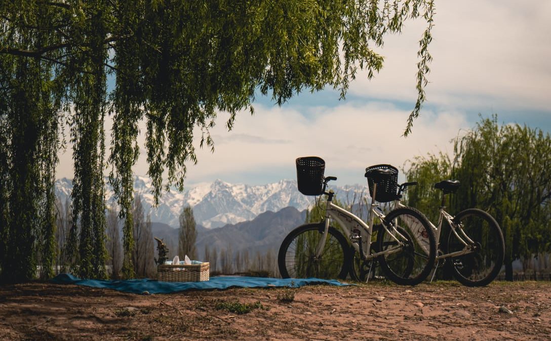 Wine and Ride: a wine tourism experience that transcends the borders of Mendoza