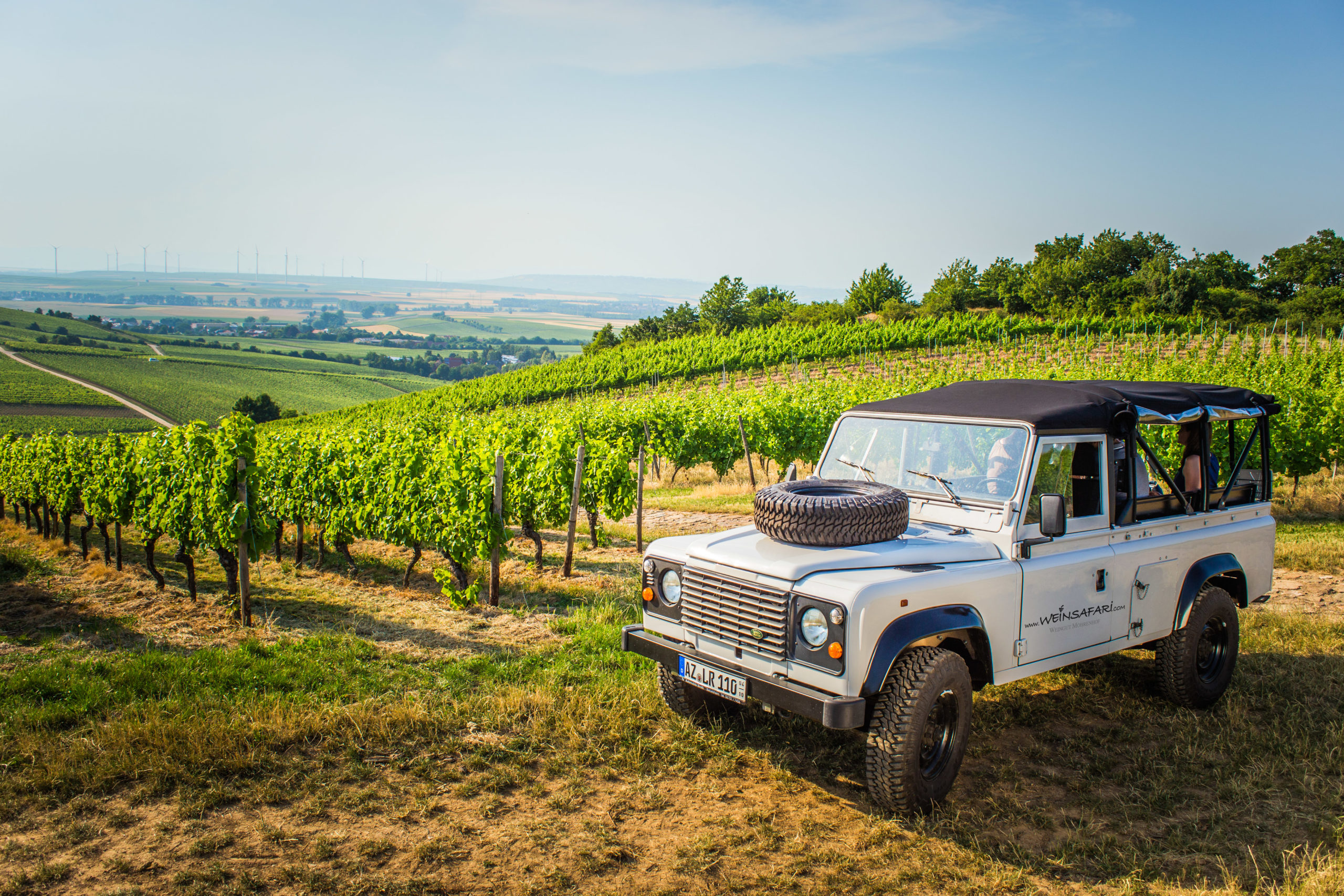 Thrilling Adventures in Rheinhessen