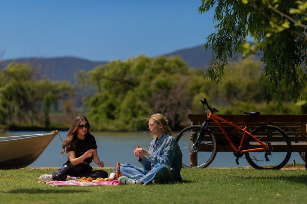 Bike tour at Tapihue Wines