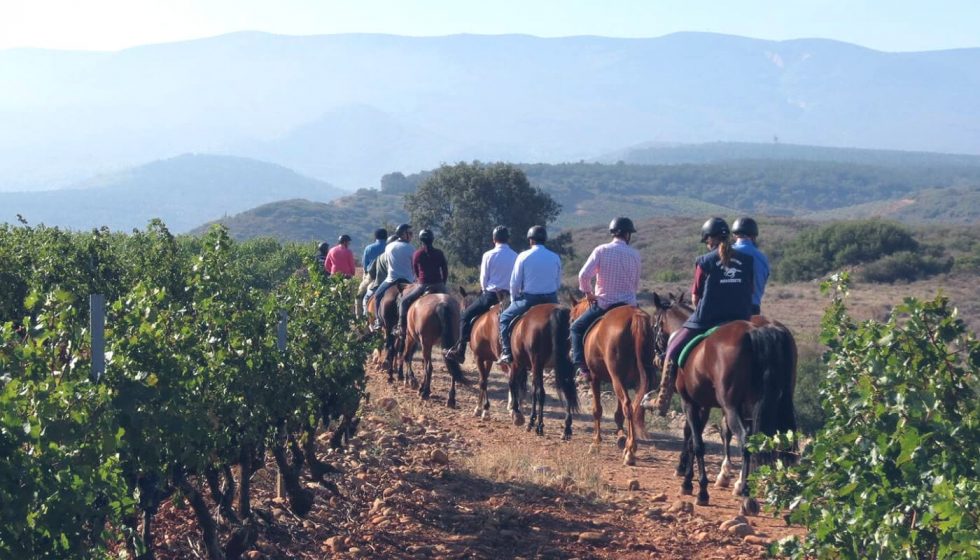 Bodegas Corral on horseback