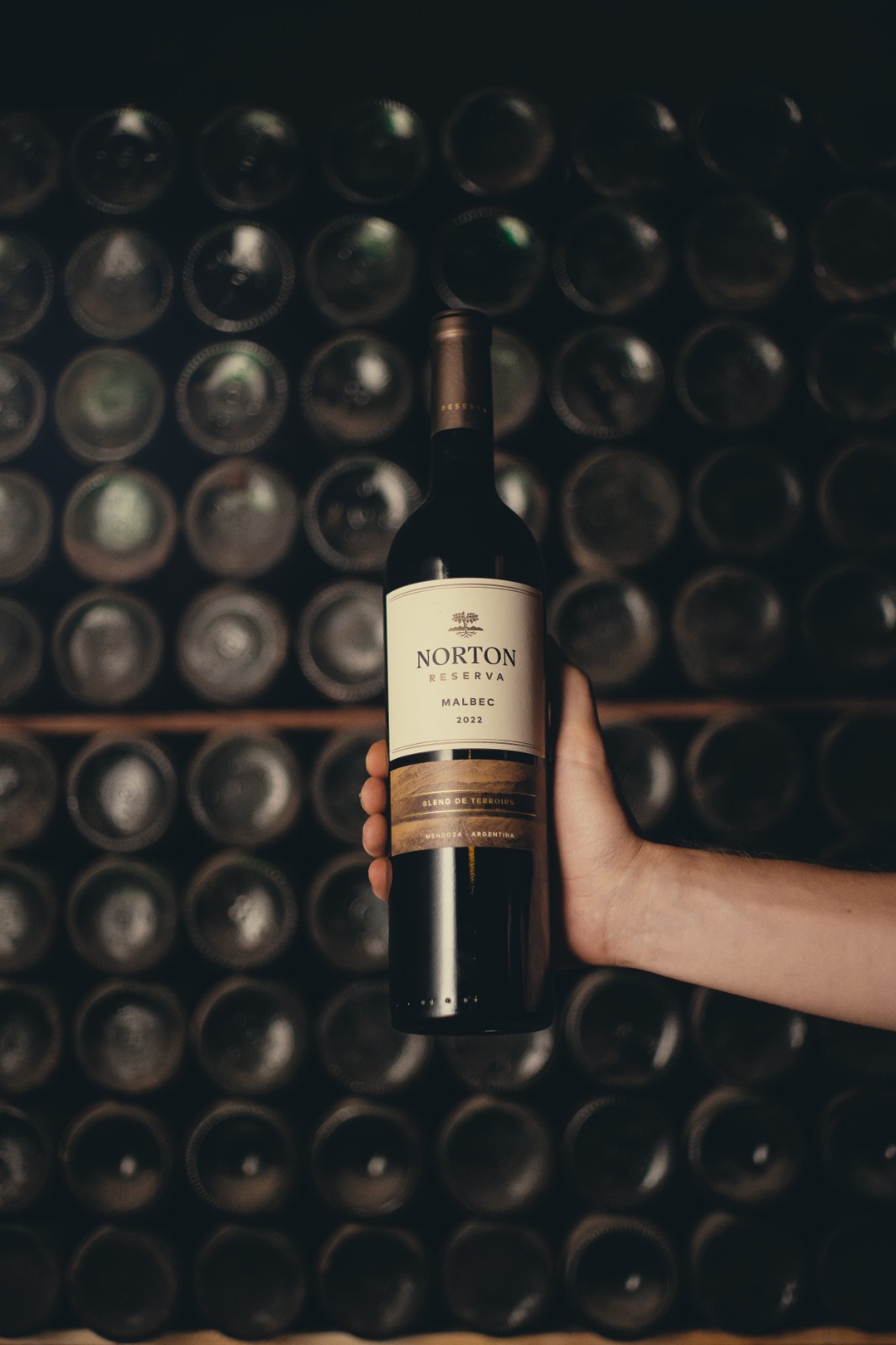 Britney Spears chooses Norton Reserva as her favorite wine