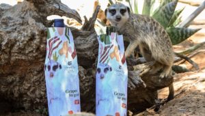 Two wine bottles with meerkat standing behind