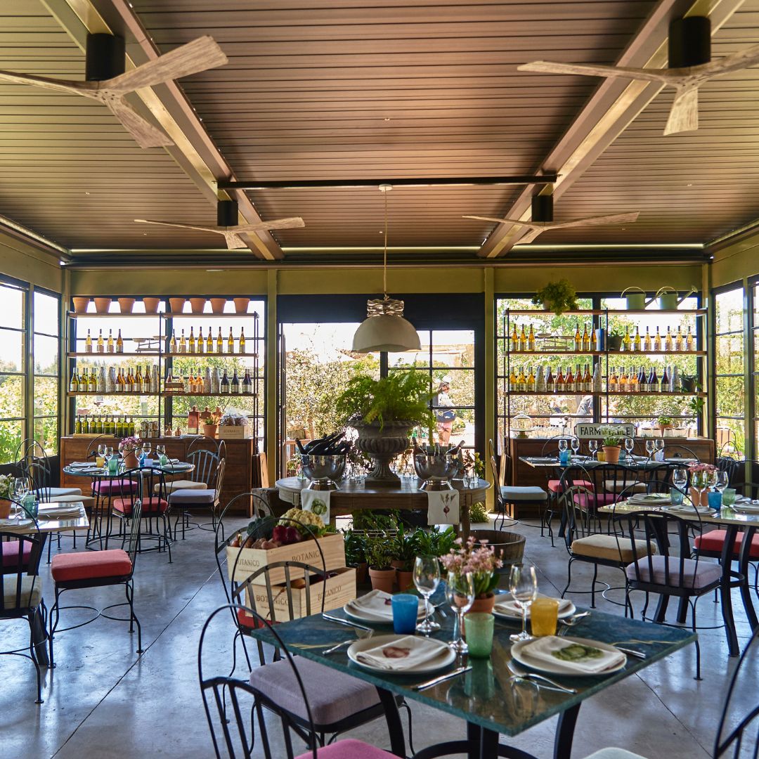 Culinary Symphony: Harmonizing Tradition and Innovation in Casablanca Valley