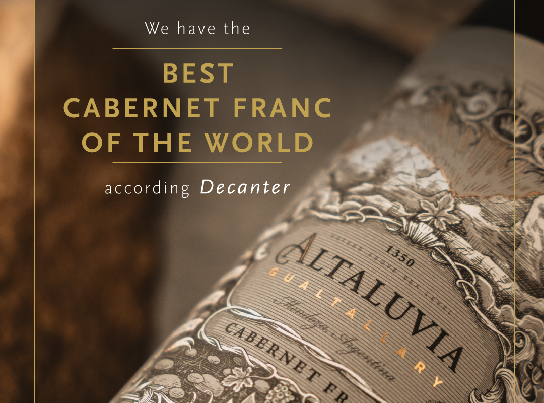 Altaluvia Cabernet Franc 2019 “Best in Show” in DWWA 2024