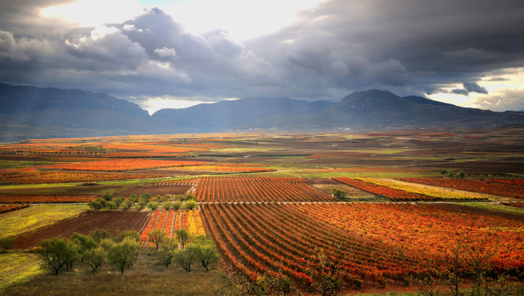 Valle Leza - Gobierno de La Rioja