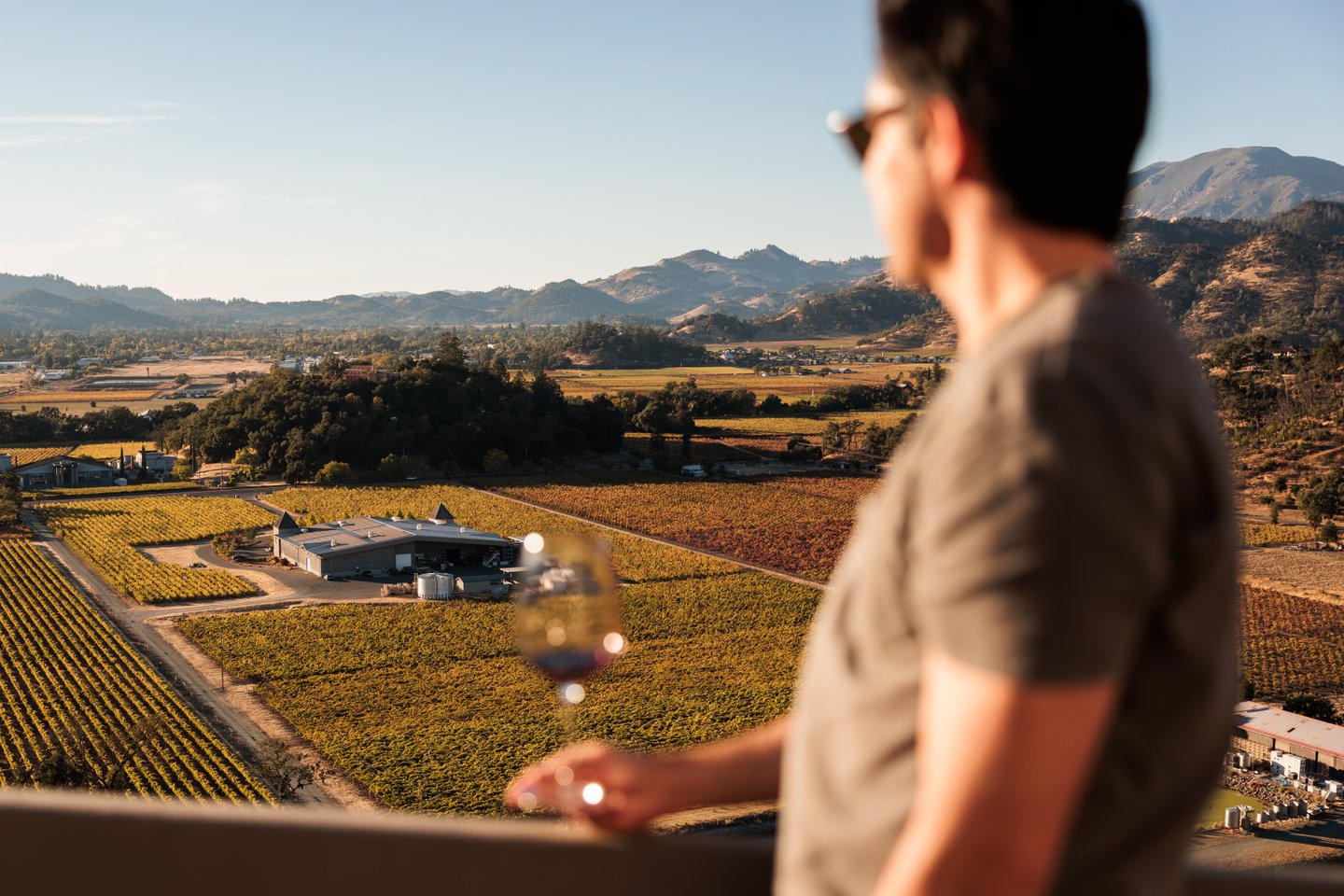 Above the Vines: The Elevated Experience of Sterling Vineyards