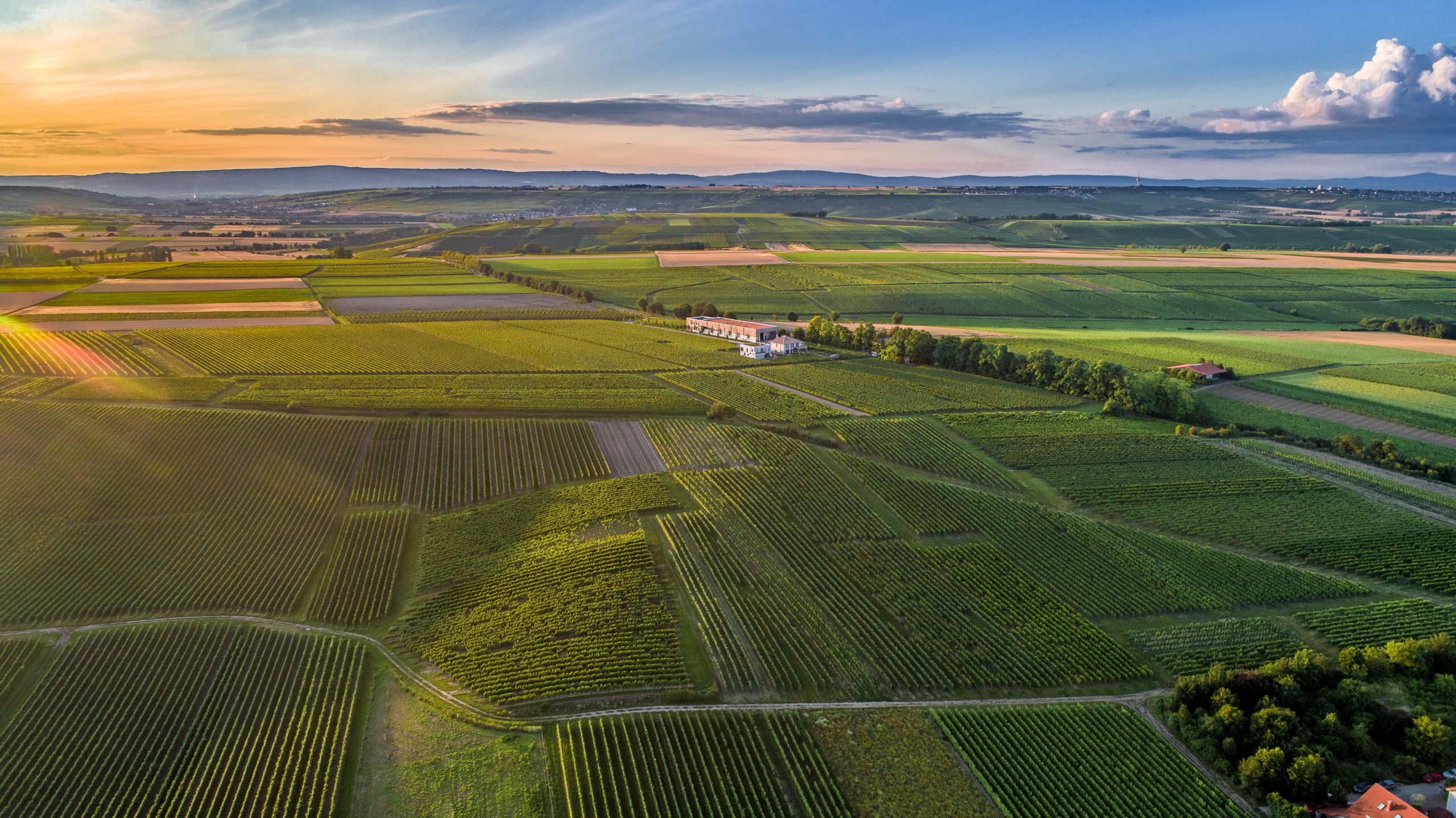 Great wine views in Rheinhessen