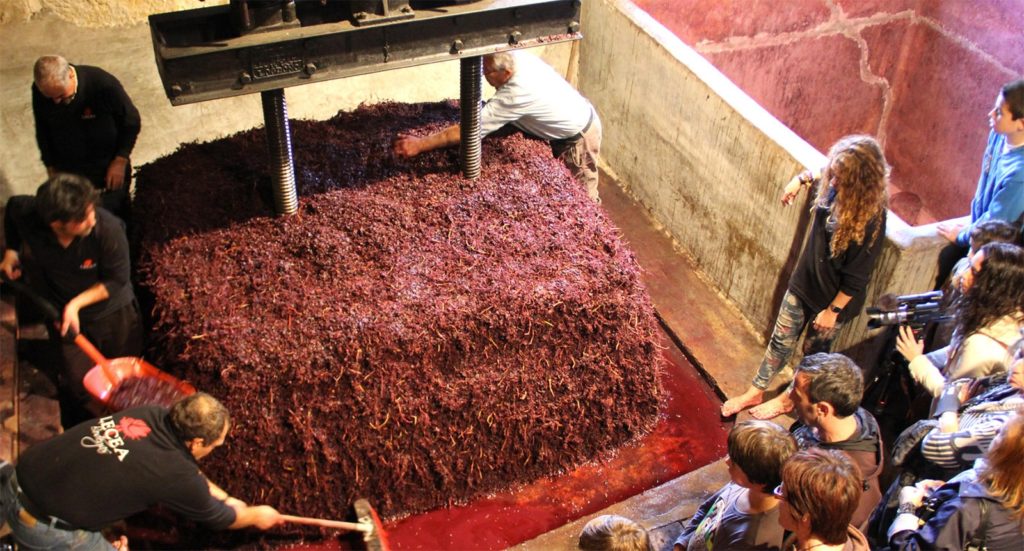 Bilbao-Rioja Bodegas Lecea