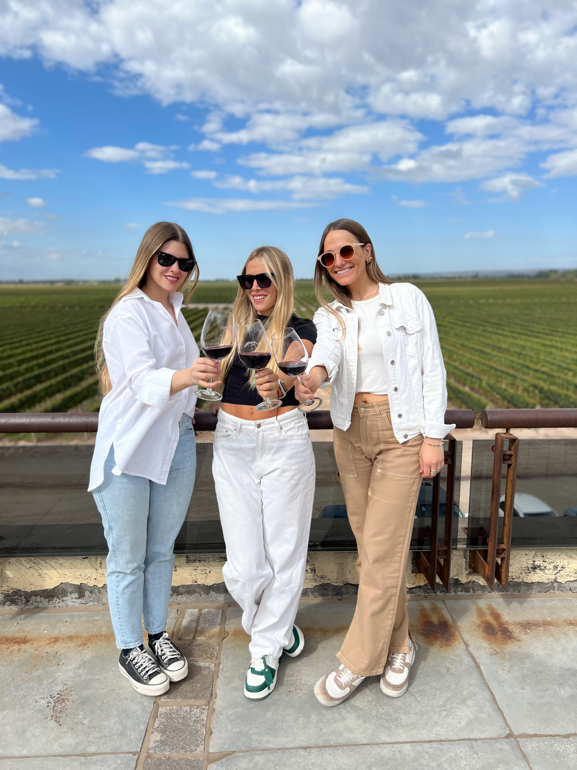 Tailored Business Experiences in Mendoza’s Vineyards
