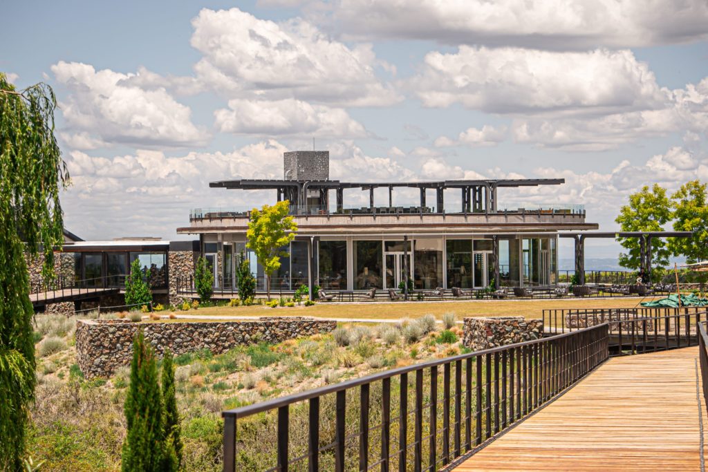 Huentala Wines - ©Gabriela Pellegrino.