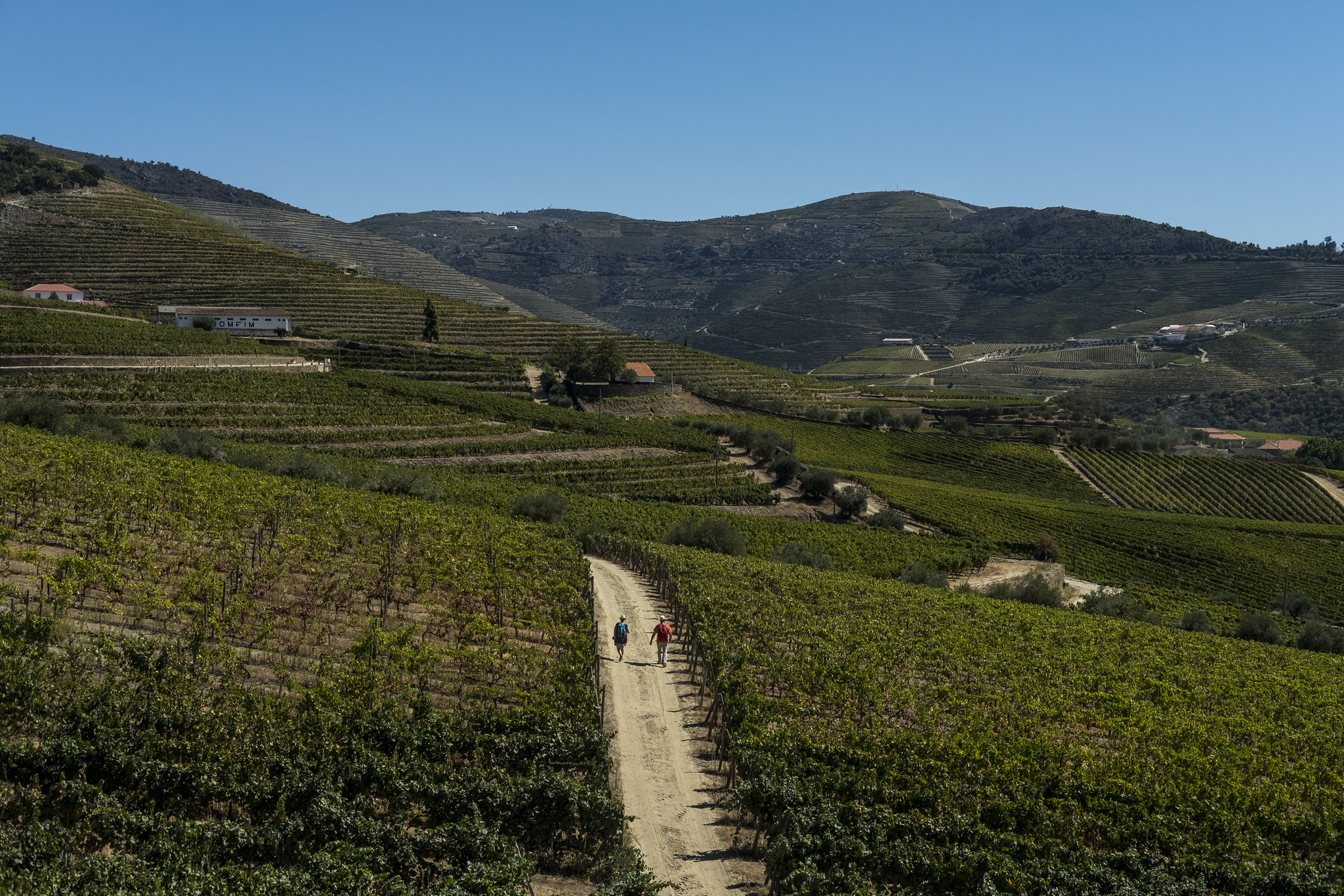 Stunning views and wine experiences among vineyards and nature in the Douro Valley