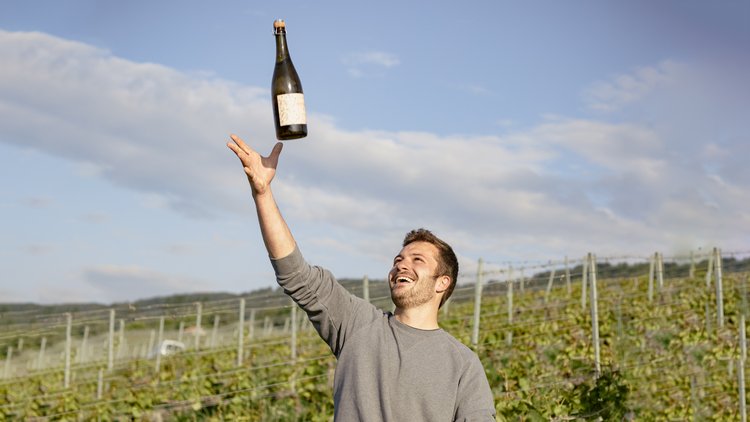 Paul de Watteville, Domaine de Montbenay