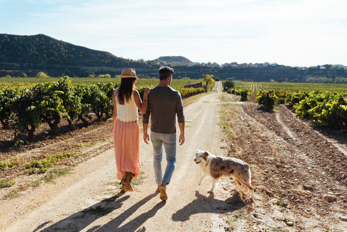 Bilbao and Rioja: Where Summer Adventures Meet Wine Country