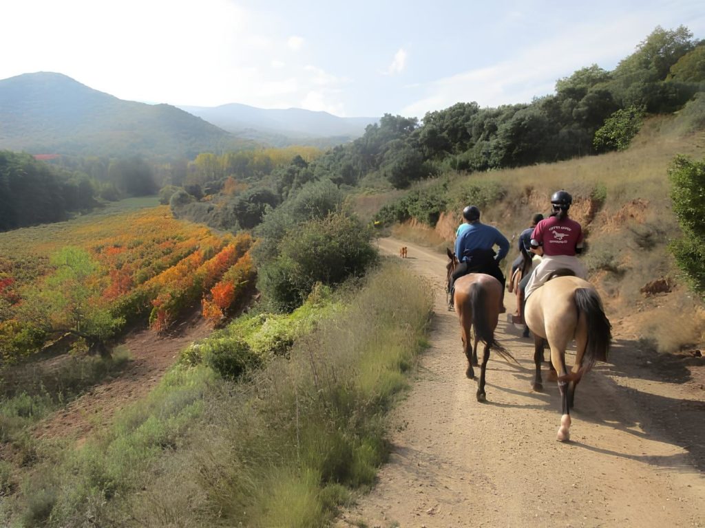 Rioja horseback route