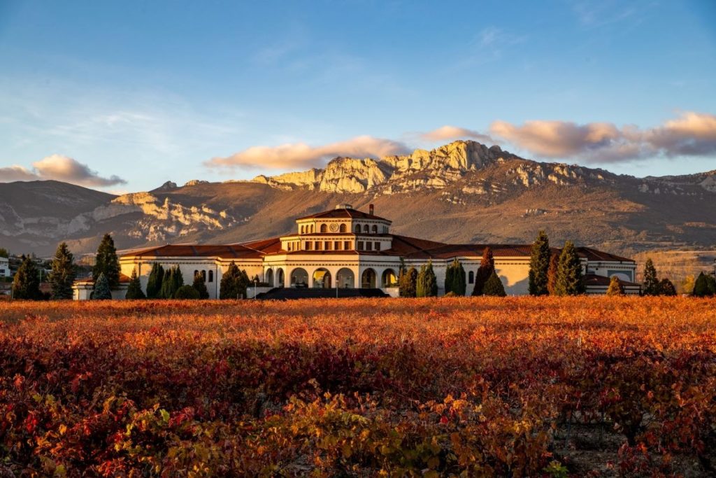 Bodegas Campillo Architecture