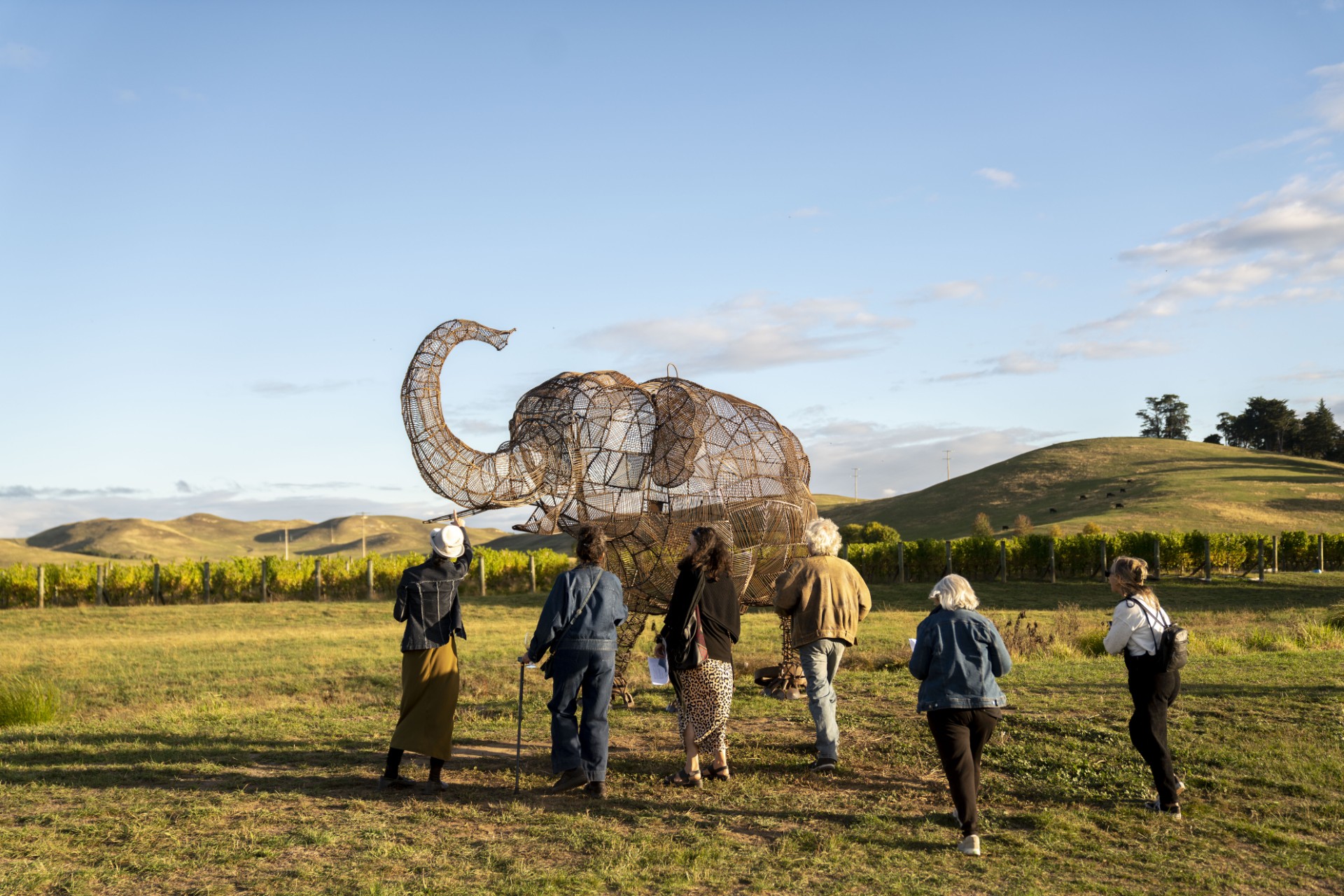 Artisan Collaborations in Hawke’s Bay: Where Wine Meets Creativity