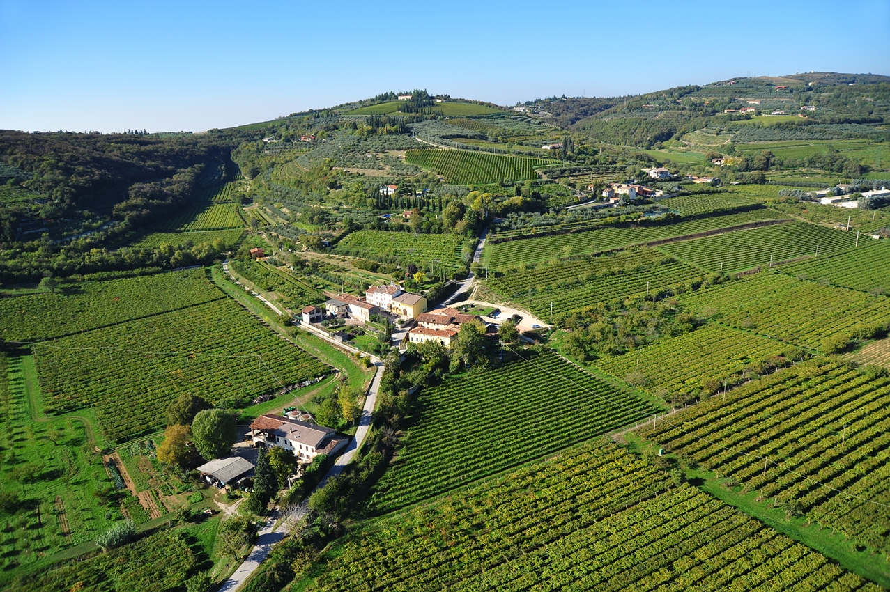 Az. Agr. Terre di Pietra